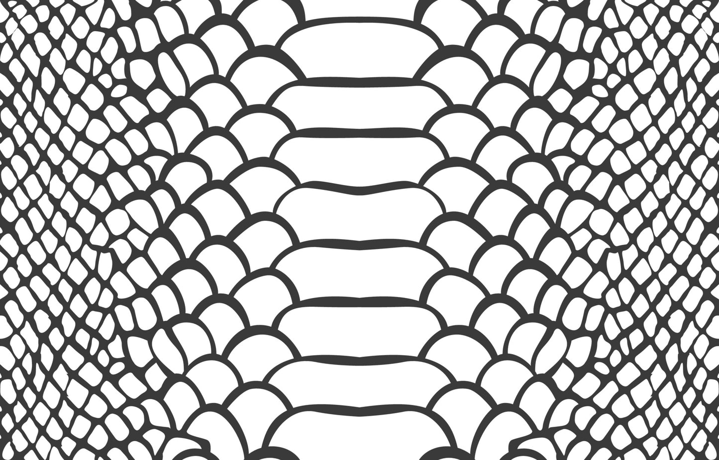 Skeleton Snake