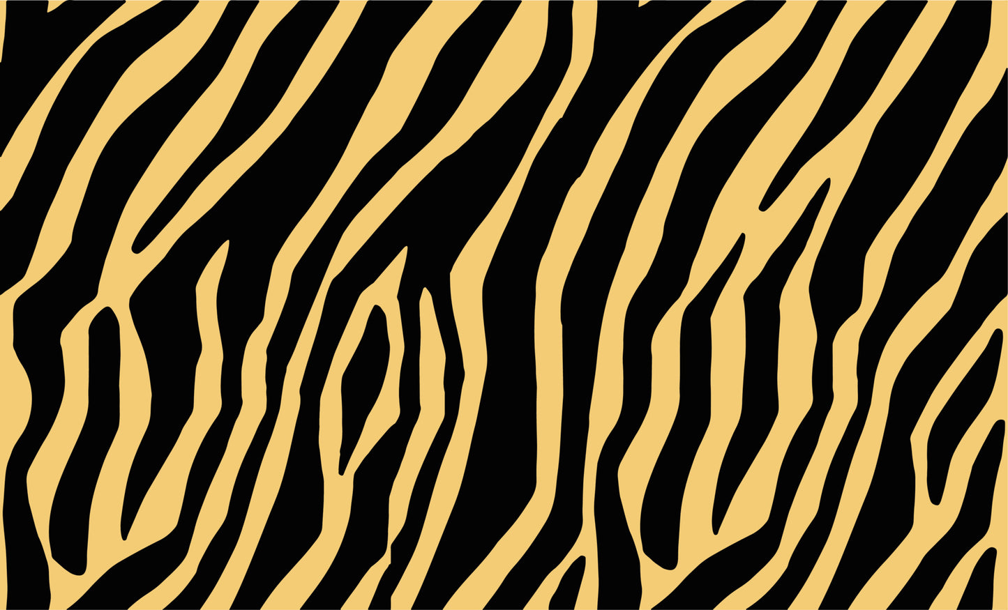 Obsidian Zebra